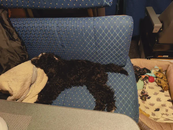 2025 11 26 Cabrera De Mar 1