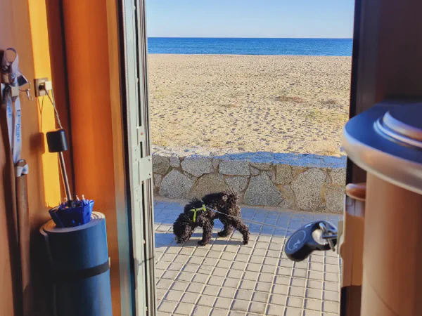 2025 11 26 Sant Vicenc De Montalt