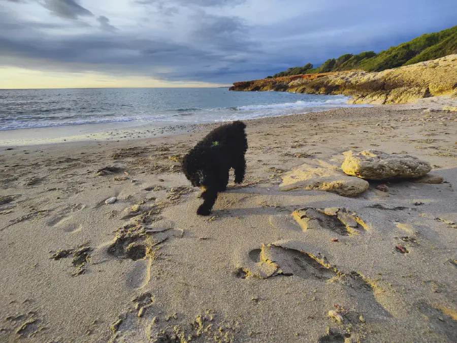 2025 12 04 Alcala De Xivert 3