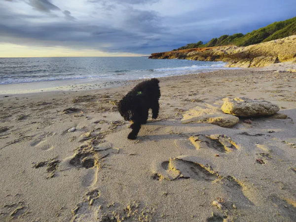 2025 12 04 Alcala De Xivert 3