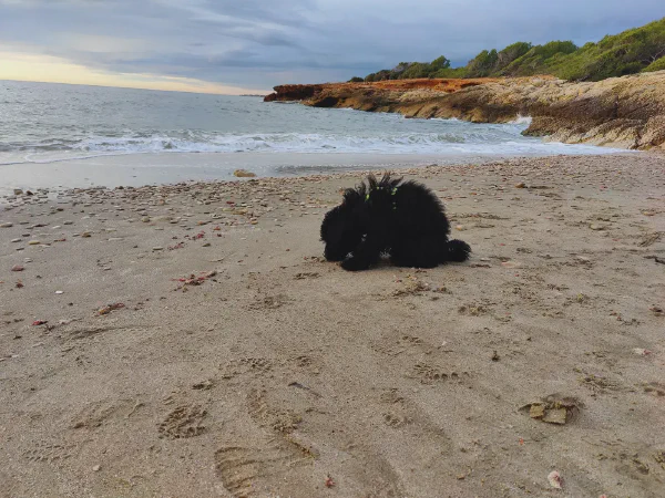 2025 12 04 Alcala De Xivert 4