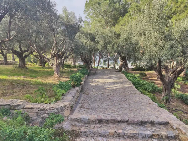 2025 12 09 Sagunt Sagunto 9