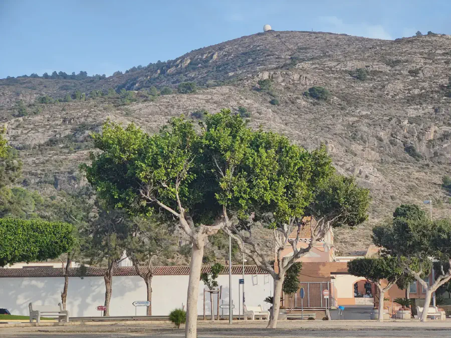 2025 12 10 Cullera 12