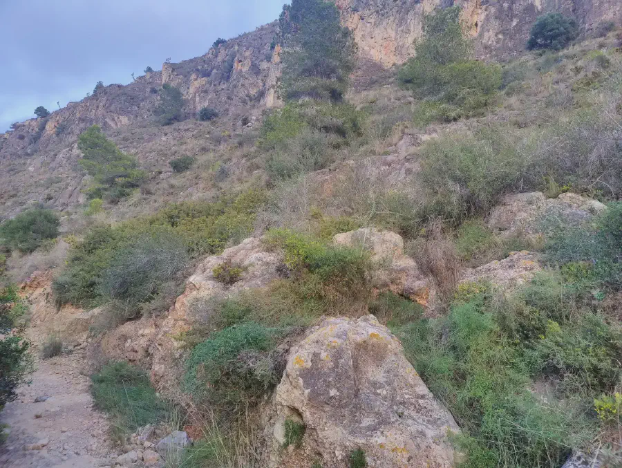 2025 12 10 Cullera 15