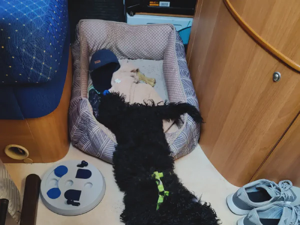 2025 12 10 Cullera 1