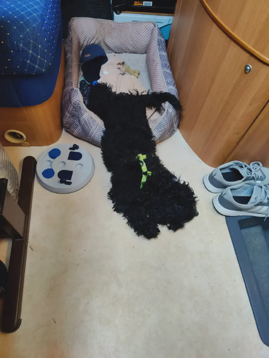 2025 12 10 Cullera 1