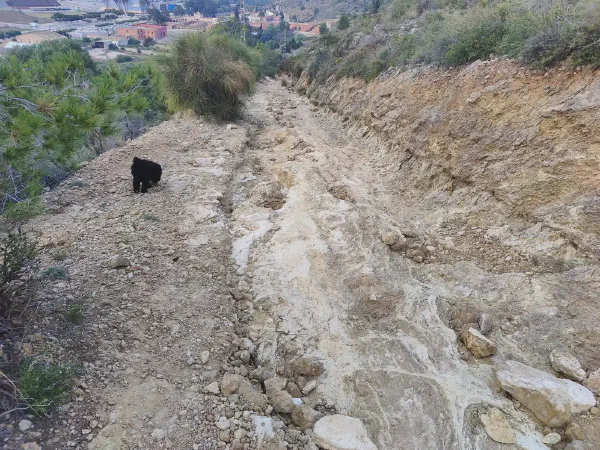 2025 12 10 Cullera 23