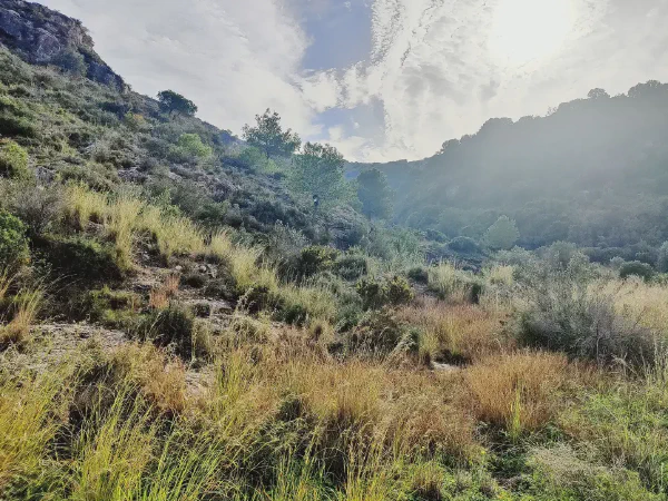 2025 12 10 Cullera 5