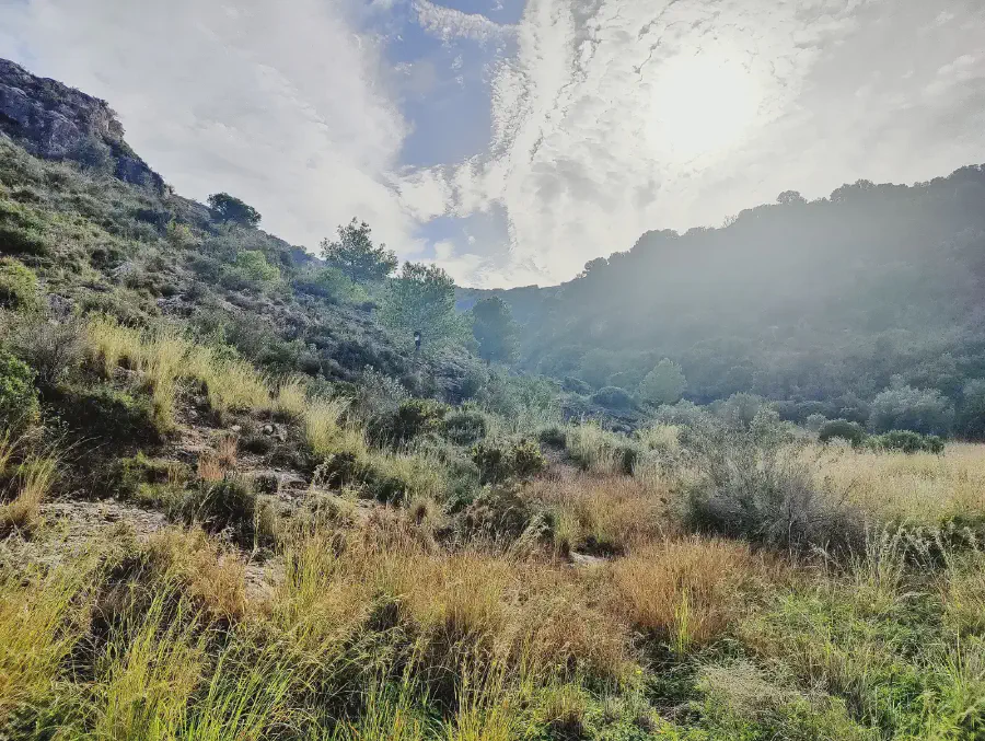 2025 12 10 Cullera 5