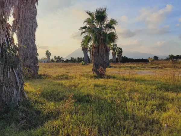 2025 12 11 Tavernes De La Valldigna 5