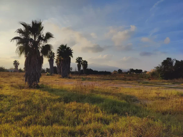 2025 12 11 Tavernes De La Valldigna 6