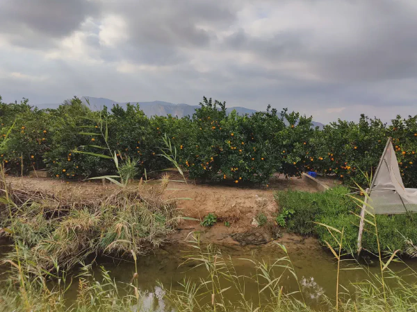 2025 12 11 Tavernes De La Valldigna