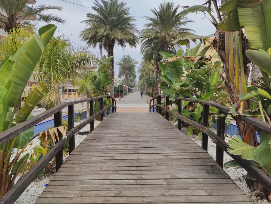 2025 12 12 Tavernes De La Valldigna 2