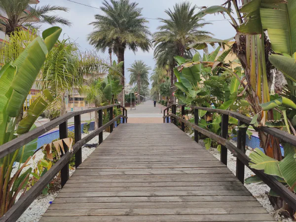 2025 12 12 Tavernes De La Valldigna 2