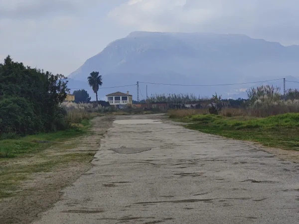 2025 12 12 Tavernes De La Valldigna 8