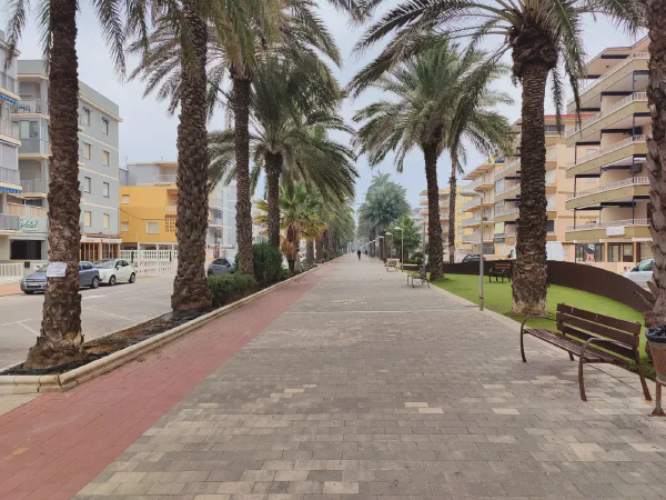 2025 12 12 Tavernes De La Valldigna 9