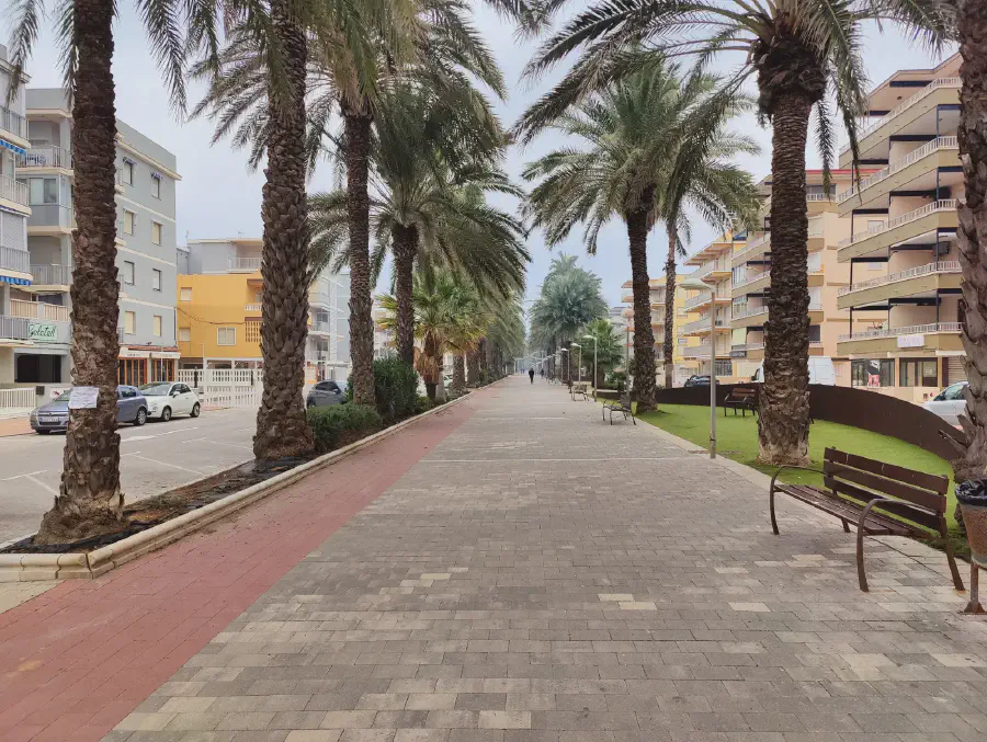 2025 12 12 Tavernes De La Valldigna 9