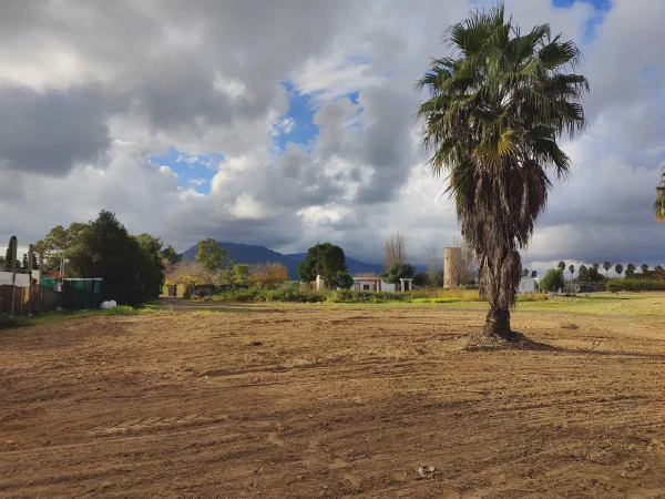 2025 12 13 Tavernes De La Valldigna 11