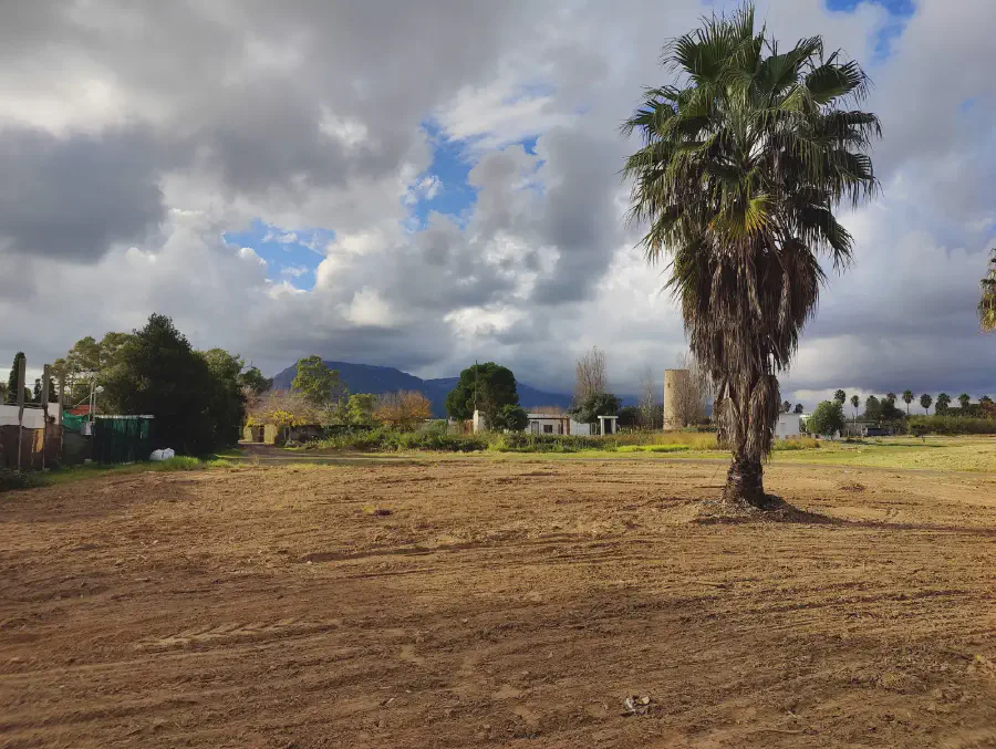 2025 12 13 Tavernes De La Valldigna 11