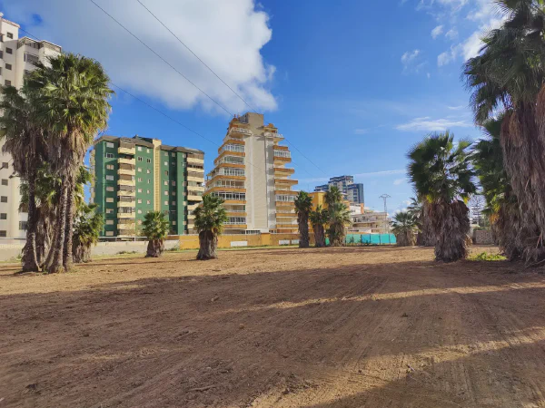 2025 12 13 Tavernes De La Valldigna 12