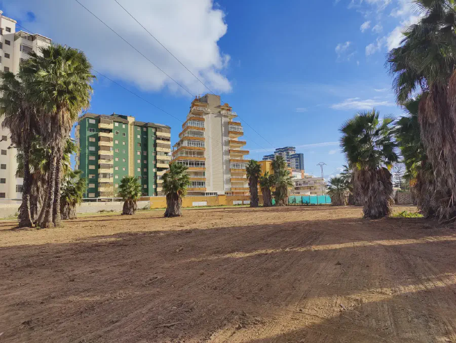 2025 12 13 Tavernes De La Valldigna 12