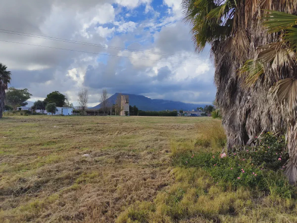 2025 12 13 Tavernes De La Valldigna 13