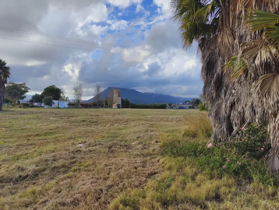 2025 12 13 Tavernes De La Valldigna 13