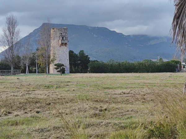 2025 12 13 Tavernes De La Valldigna 14
