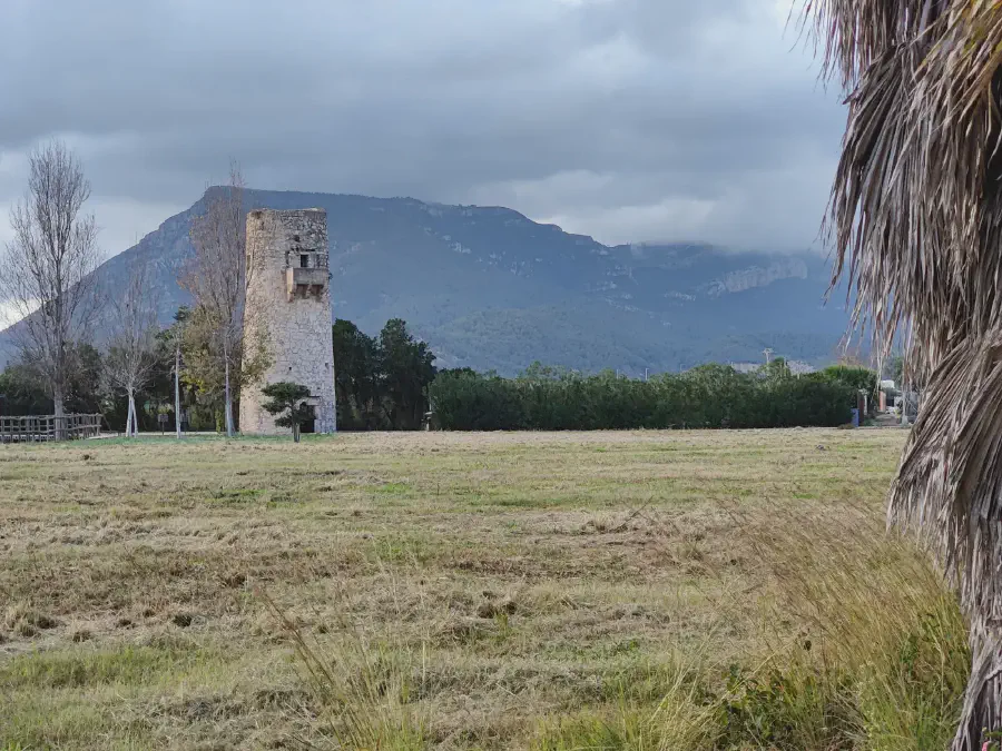 2025 12 13 Tavernes De La Valldigna 14