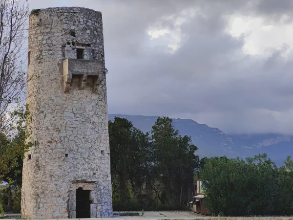 2025 12 13 Tavernes De La Valldigna 15