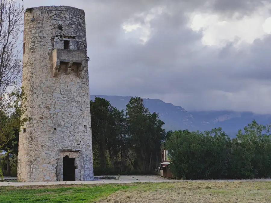 2025 12 13 Tavernes De La Valldigna 15