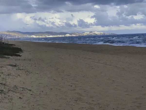 2025 12 13 Tavernes De La Valldigna 3