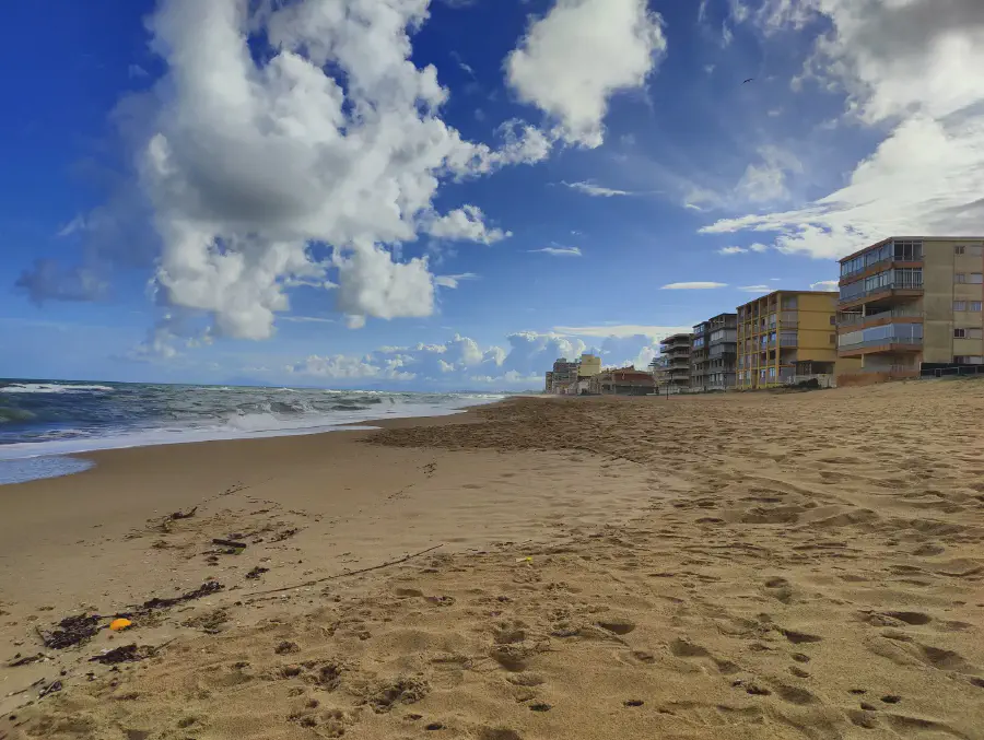 2025 12 13 Tavernes De La Valldigna 8