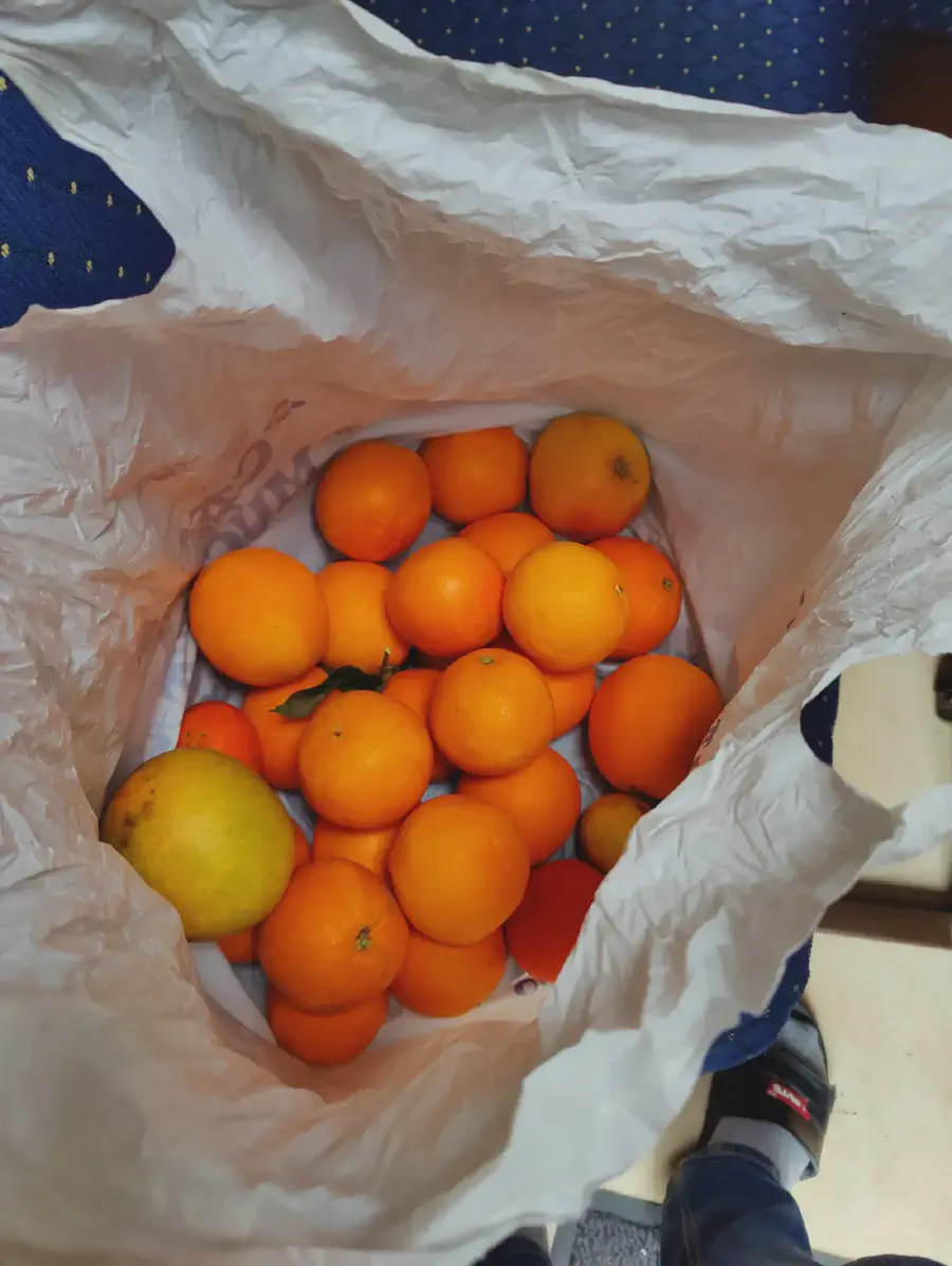 2025 12 14 Tavernes De La Valldigna