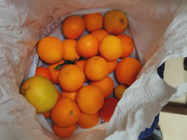 2025 12 14 Tavernes De La Valldigna