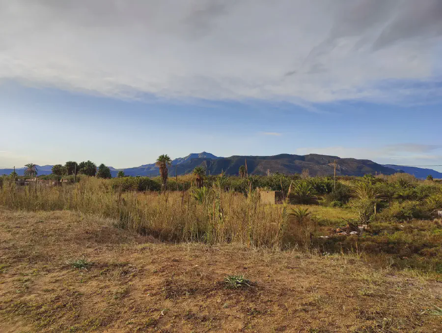 2025 12 15 Tavernes De La Valldigna 11