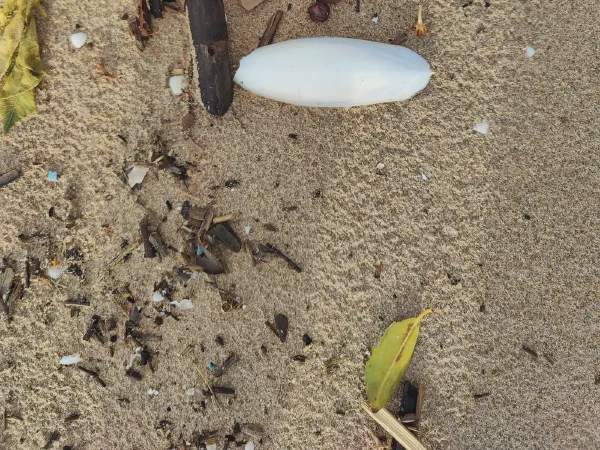 2025 12 15 Tavernes De La Valldigna 12