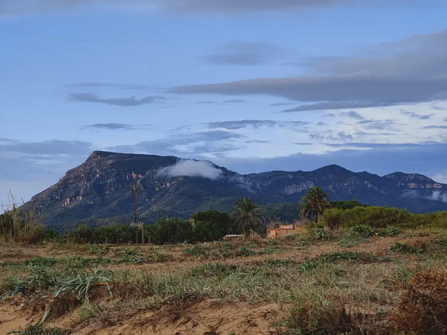 2025 12 15 Tavernes De La Valldigna 14