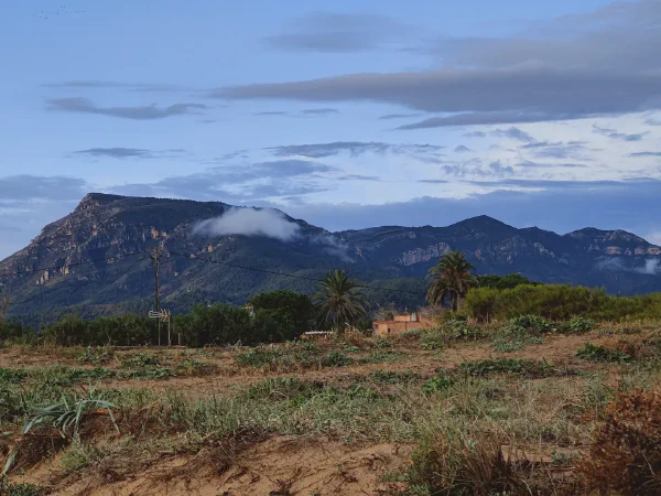 2025 12 15 Tavernes De La Valldigna 14