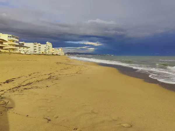 2025 12 15 Tavernes De La Valldigna 16