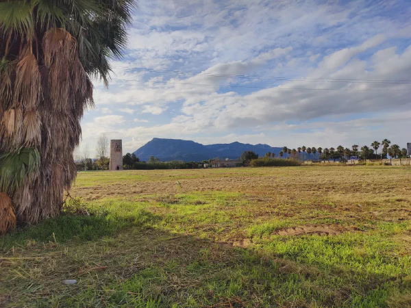 2025 12 15 Tavernes De La Valldigna 17