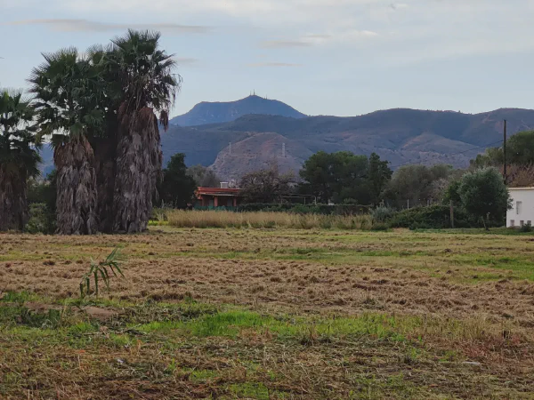 2025 12 15 Tavernes De La Valldigna 1