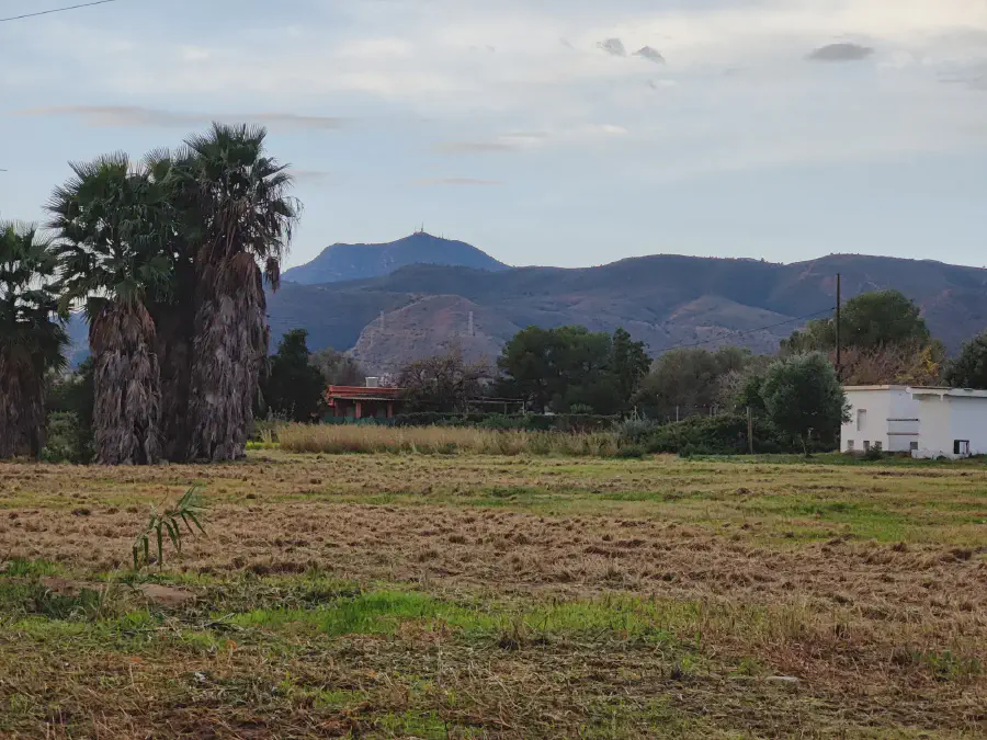 2025 12 15 Tavernes De La Valldigna 1