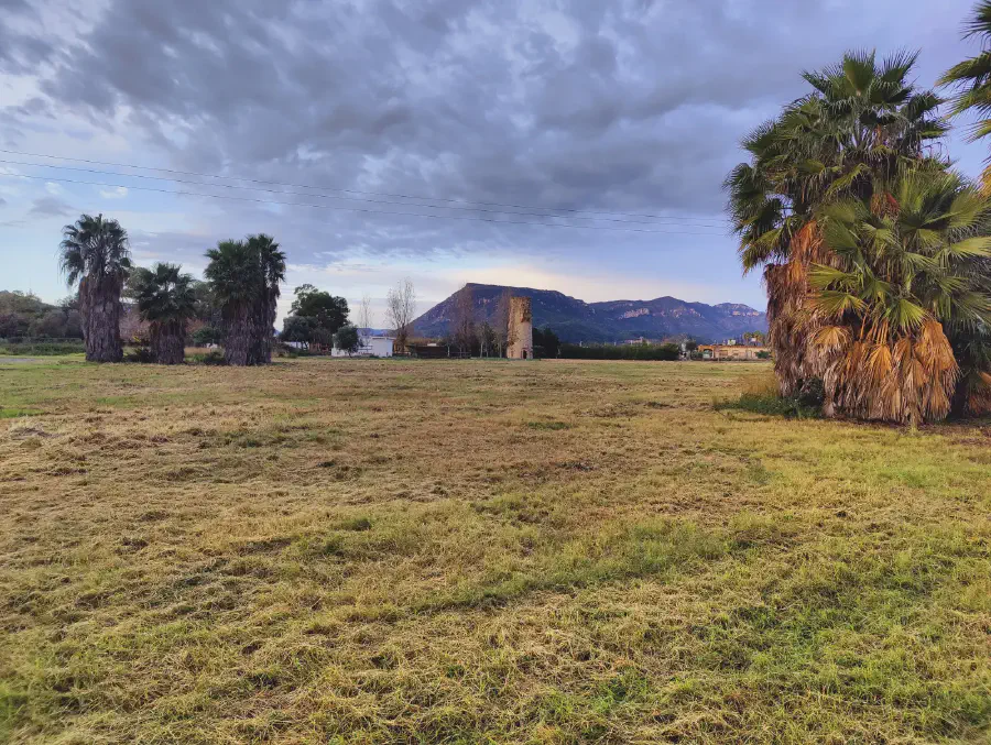 2025 12 15 Tavernes De La Valldigna 2