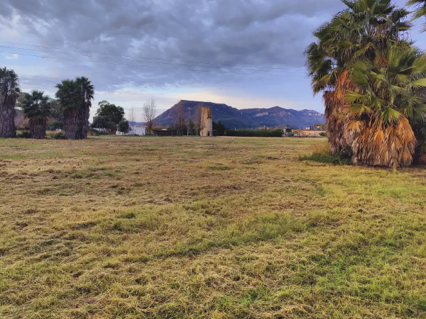 2025 12 15 Tavernes De La Valldigna 2