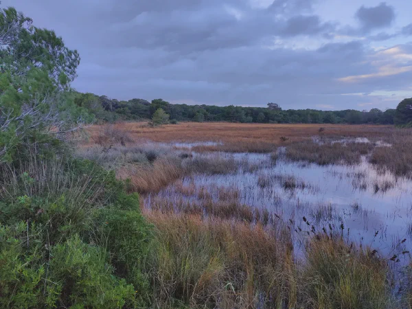 2025 12 17 Valencia 10