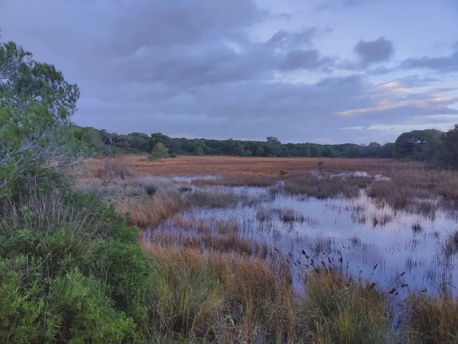 2025 12 17 Valencia 10