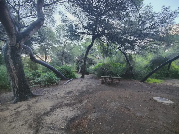 2025 12 17 Valencia 11