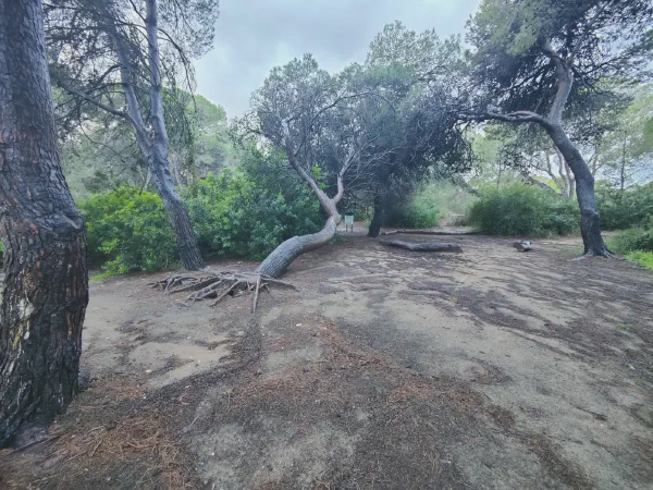 2025 12 17 Valencia 12