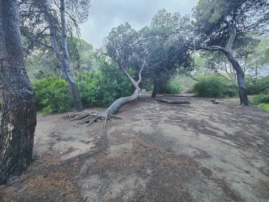 2025 12 17 Valencia 12